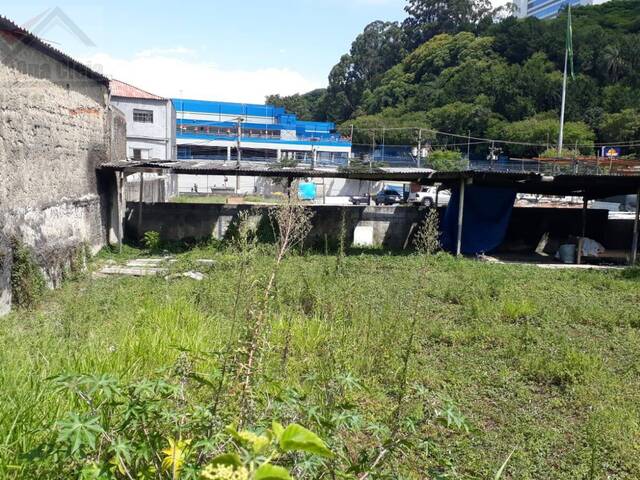 #1071 - Terreno para Locação em São Paulo - SP - 1