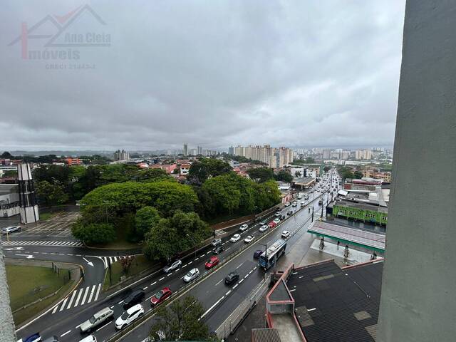 Venda em Interlagos - São Paulo